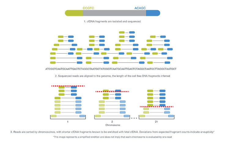 genome-wide-seq-web-graphic